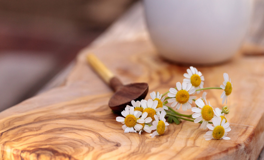 Chamomile tea with chamomile daisy flowers