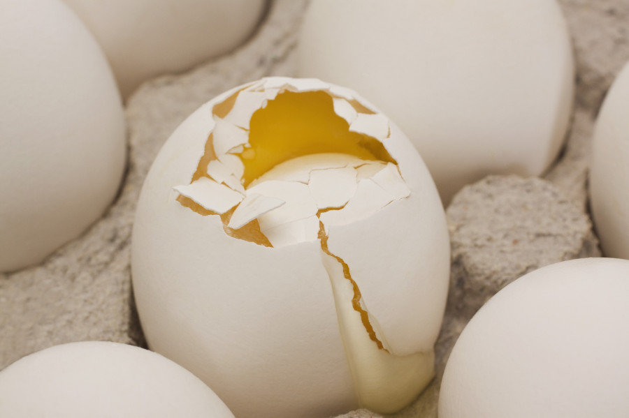 Broken egg in a carton with other eggs