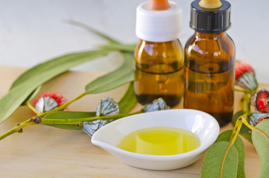 Eucalyptus Essential Oil