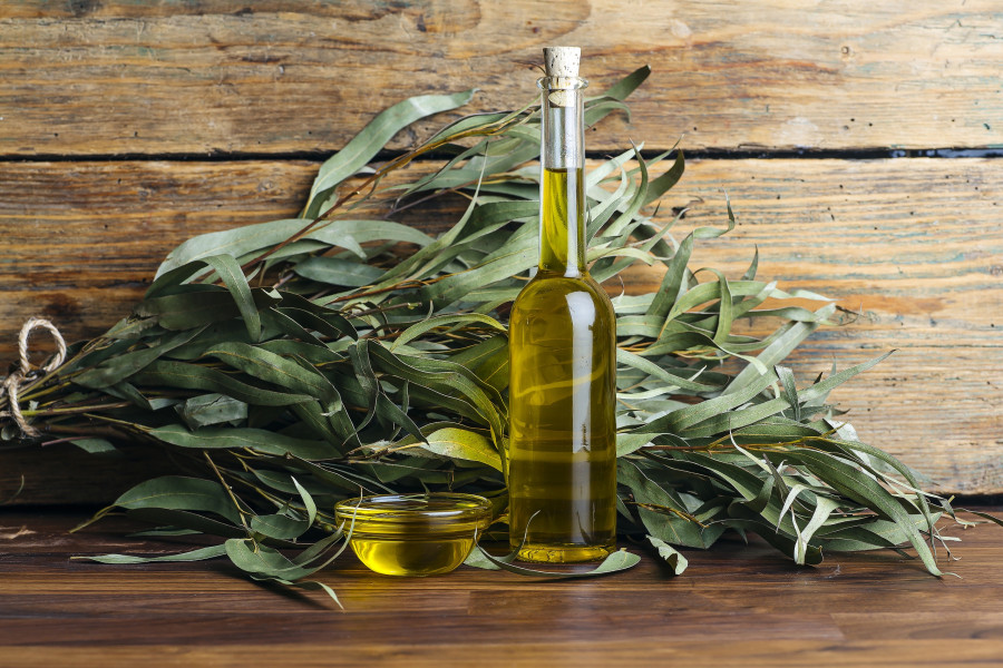 Eucalyptus Oil Cosmetics. Eucalyptus Leaves, Oil And Extract