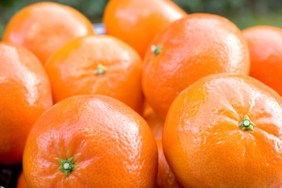 A Bowl Of Clementine Tangerines