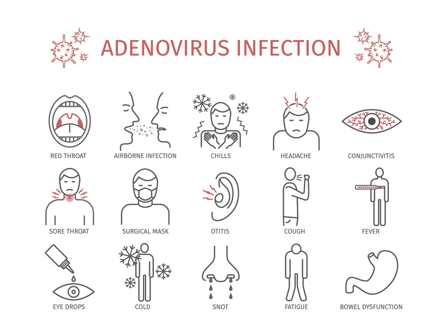 Adenovirus