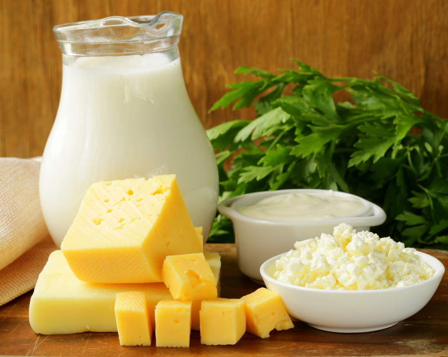dairy products - milk, sour cream, cheese, cottage