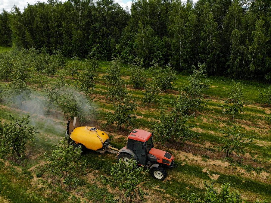 A Red Tractor Sprays Pesticides In An Apple Orchard