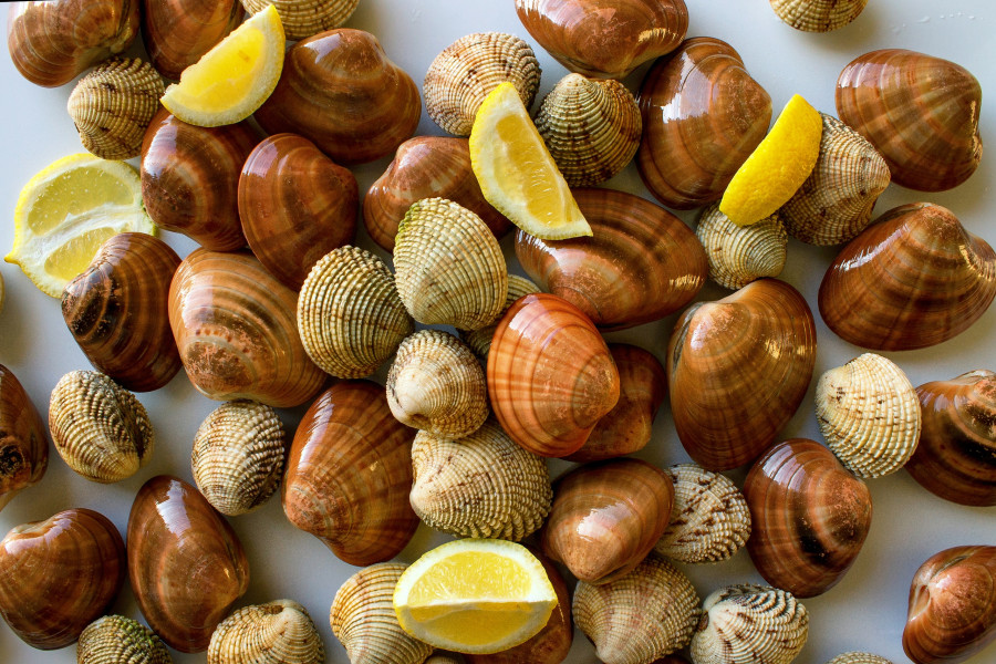Fresh Clams, Raw Cockles