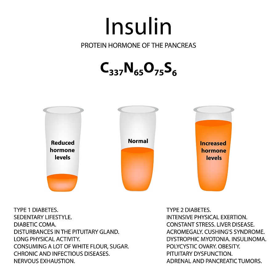 insulin